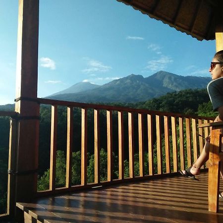 Dragonfly Senaru Lodge Ngoại thất bức ảnh
